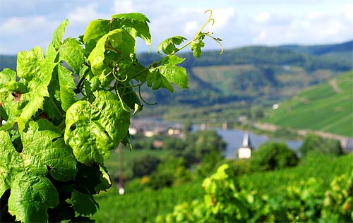 2010-09-27-talblick.jpg