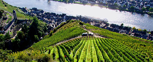2010-10-03-zell2.jpg