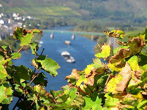 2010-10-12-mosel.jpg