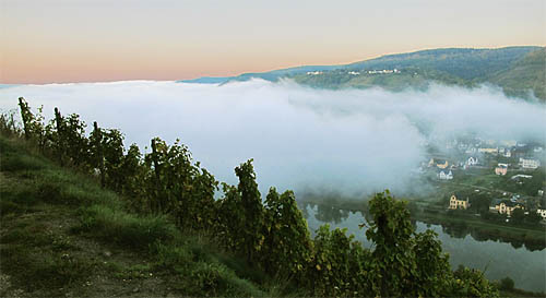 2010-10-12-nebel.jpg