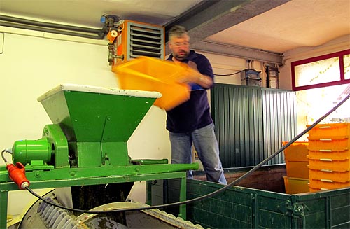 2010-10-18-thomas.jpg