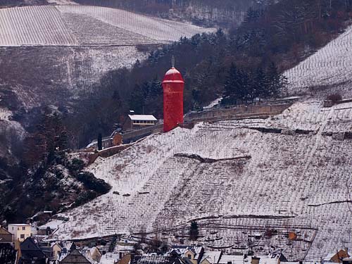 2010-12-02-pimmel2.jpg