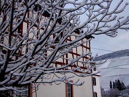 2010-12-09-schnee.jpg