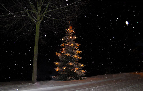 2010-12-16-baum.jpg