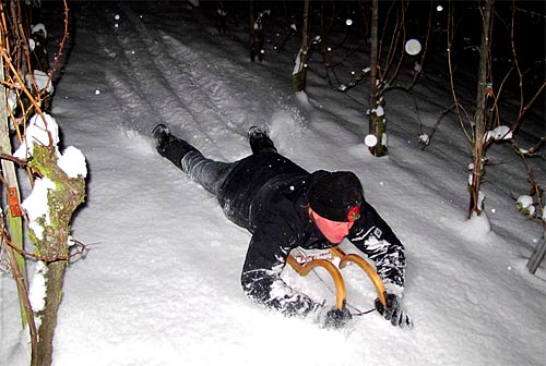 2010-12-18-schlittenfahrt.jpg