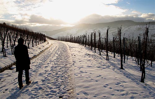 2011-01-02-spaziergang.jpg