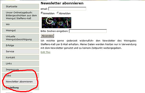 2011-01-13-newsletter.jpg