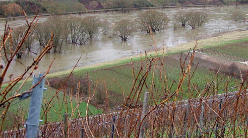 2011-01-16-hochwasser.jpg