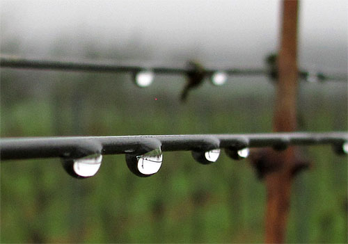 2011-02-24-tropfen.jpg