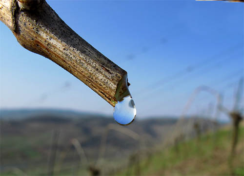 2011-03-25-bluten.jpg