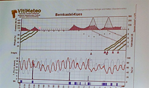 2011-04-05-vitimeteo.jpg