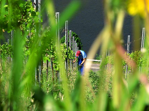 2011-04-30-ausbrechen.jpg