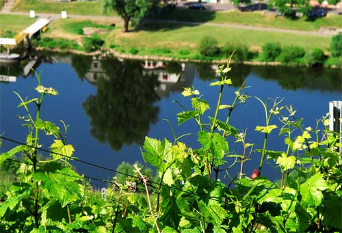2011-05-20-mosel.jpg