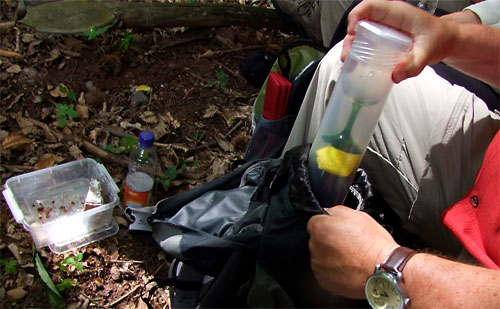 2011-06-11-wanderglas.jpg