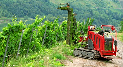 2011-07-30-laubschneider.jpg