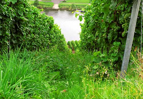 2011-08-19 Weischaf