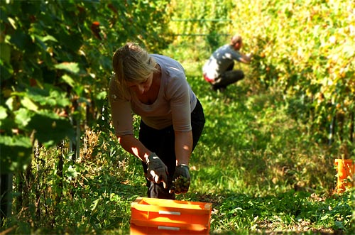2011-10-02 Susanne2