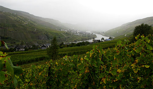 2011-10-06 Regen