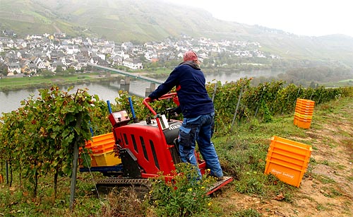 2011-10-17 Traubentransport