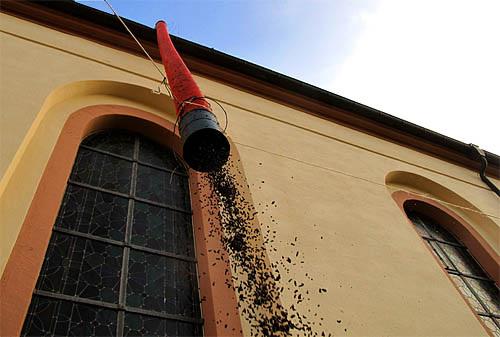2011-11-08 Guano