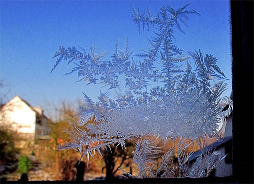 2012-02-03 Eisblume