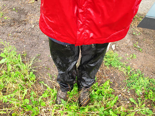 2012-06-06 Regen