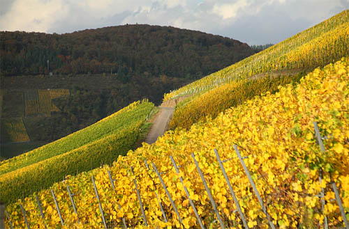 2013-10-24 Herbstfarben