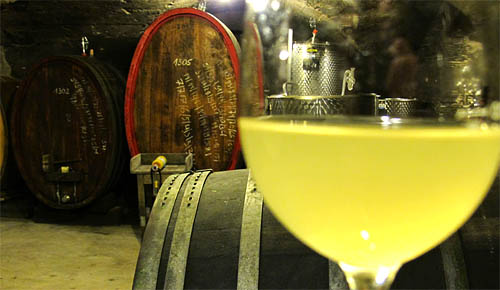 2013-11-19 Jungwein