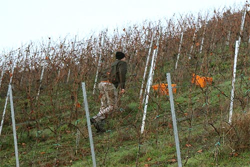 2013-12-03 Kisten