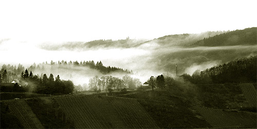2014-02-20 Nebel