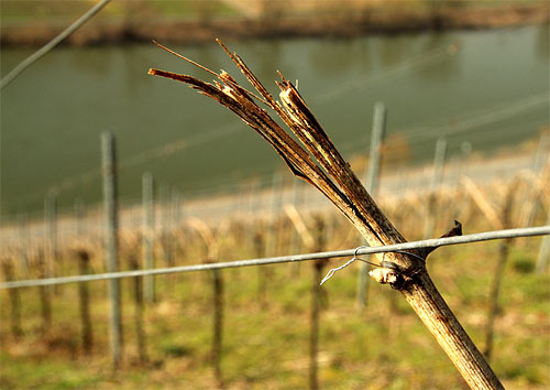 2014-03-07 abgebrochen1