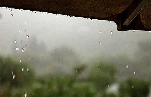 2014-08-10 Regen
