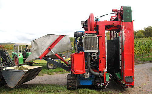2014-10-10 Steillagenvollernter2