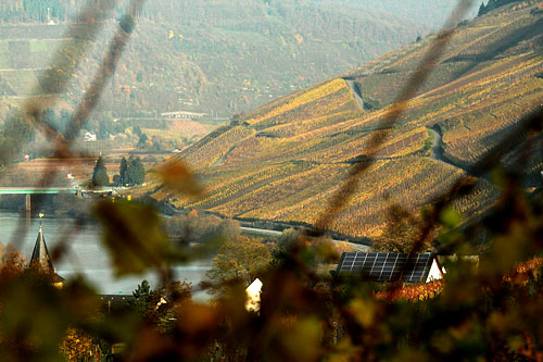 2014-11-13 Goldlay