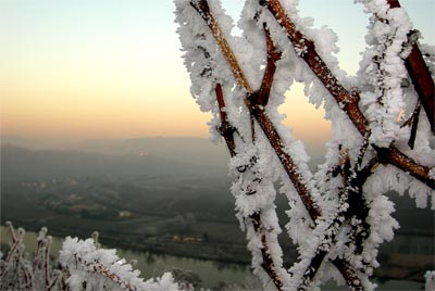 2007-12-22 Rauhreif