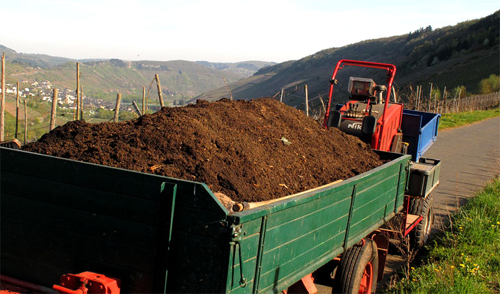 2015-04-21 Guano