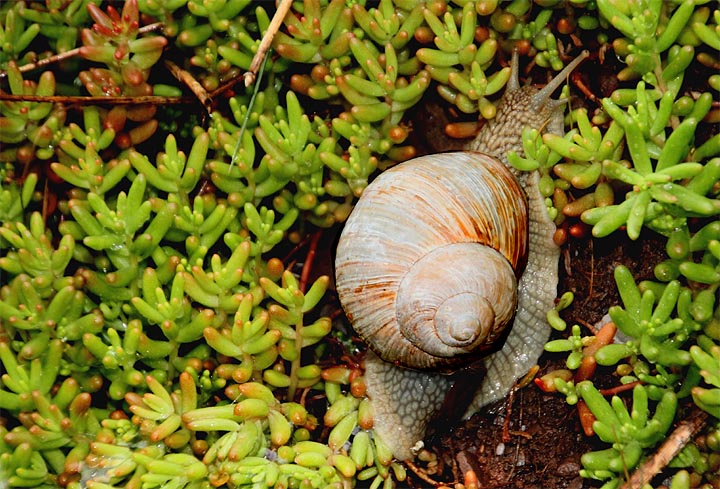 2015-04-27 Helix