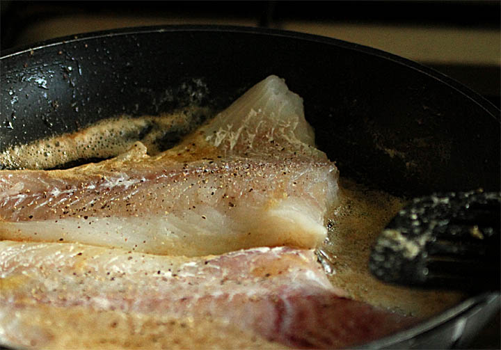 2015-05-08 Fisch