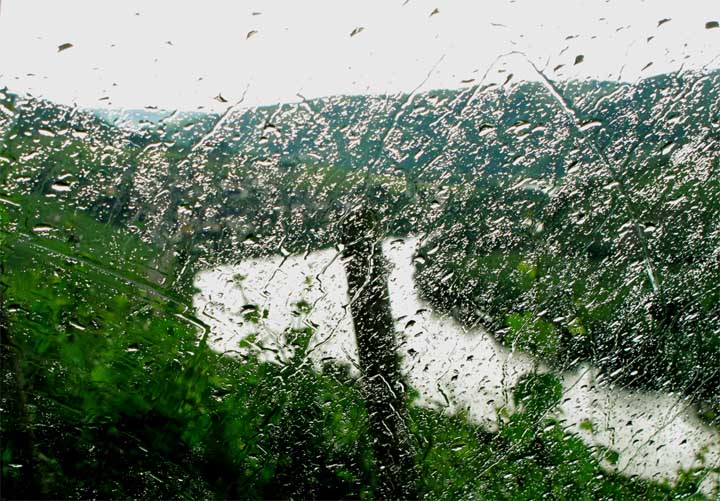 2015-06-22 Regen