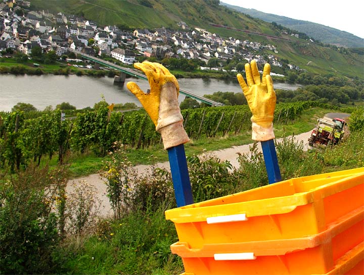 2015-10-05 Handschuhe