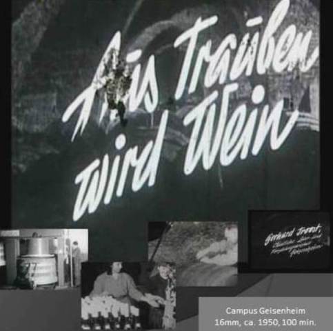 CoverAus_Trauben_wird_Wein