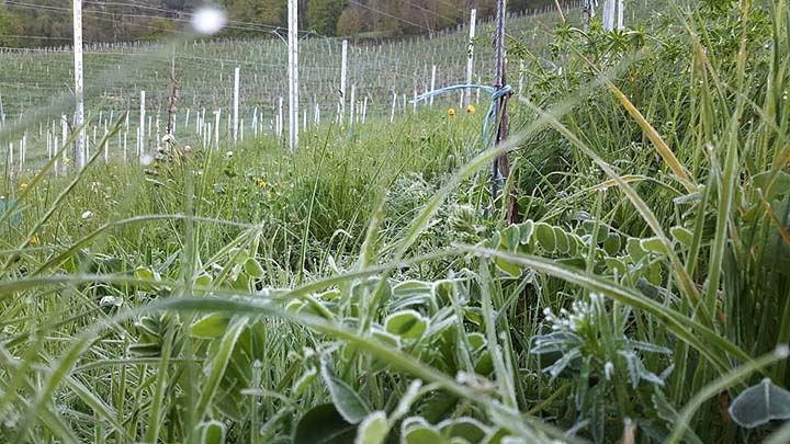 2016-04-26 Schnee Andres Schwarz internet