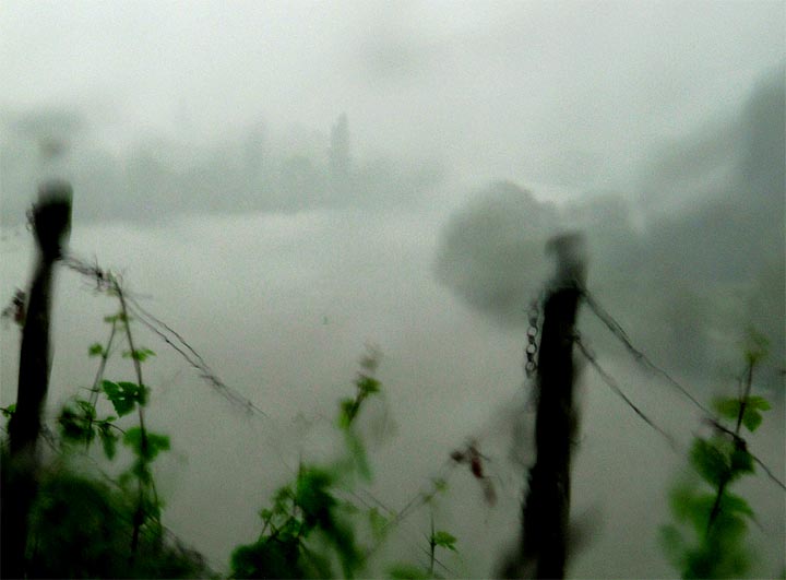 2016-06-15 Regen