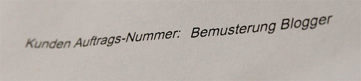 2016-07-25 Bemusterung