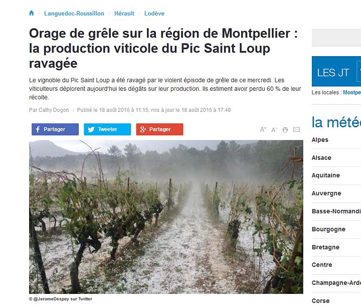 2016-08-18 Pressetext Hagel
