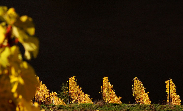 2016-10-30-herbstlaub