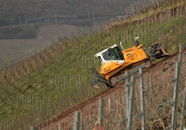 2017-03-24 Planierraupe im Weinberg
