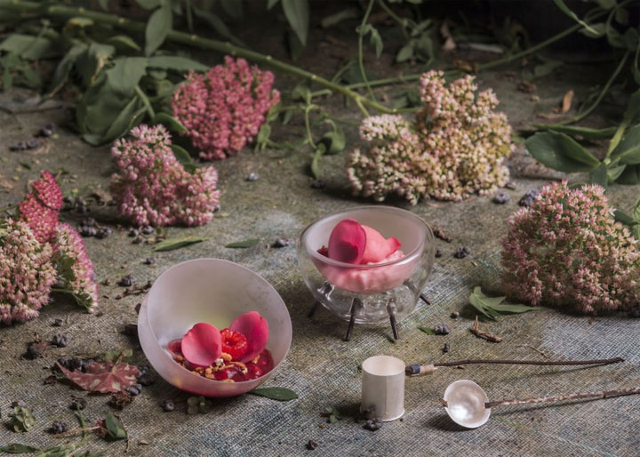 2017-05-04 Tanja Grandits' Himbeer-Granola Dessert